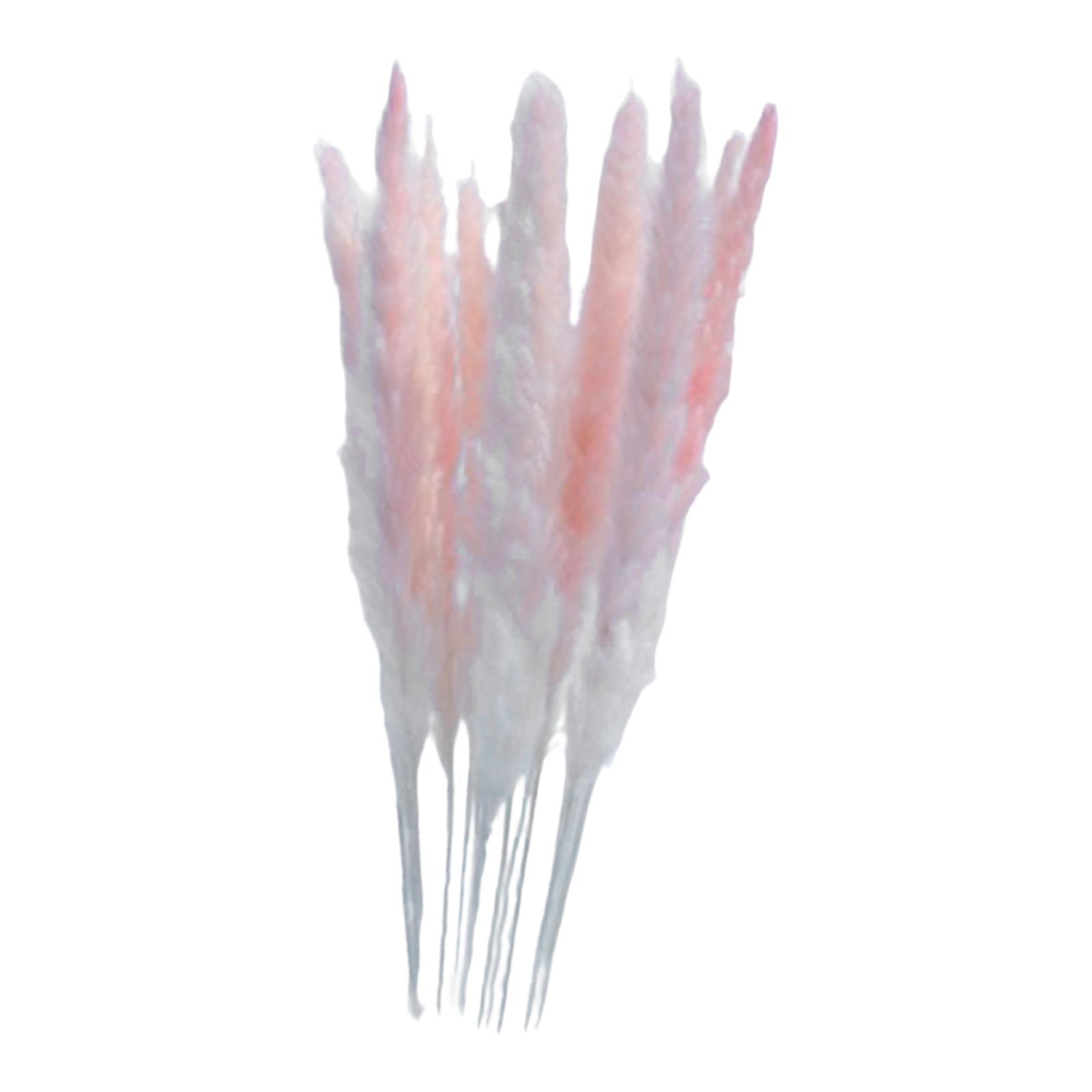 Natural Dried Pampas Grass Boho Home Decor Flower Arrangement Dried Reed Phragmites Decoration