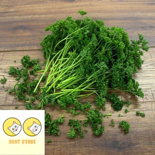 Hạt giống ngò tây lá xoăn, rau gia vị, parsley, rau mùi xoăn