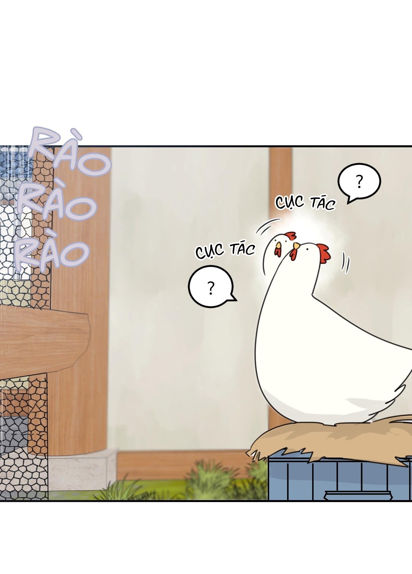 ngôi nhà hướng mặt trời mọc chapter 42 4