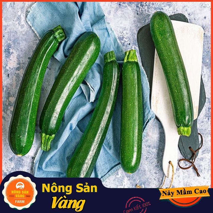 Hạt giống Bí Ngòi ( Gói 10 Hạt ) - Nông Sản Vàng