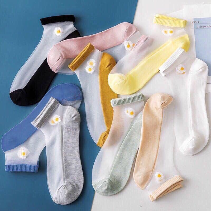 Lố 10 đôi tất giấy hoa cúc màu hottrend siêu yêu