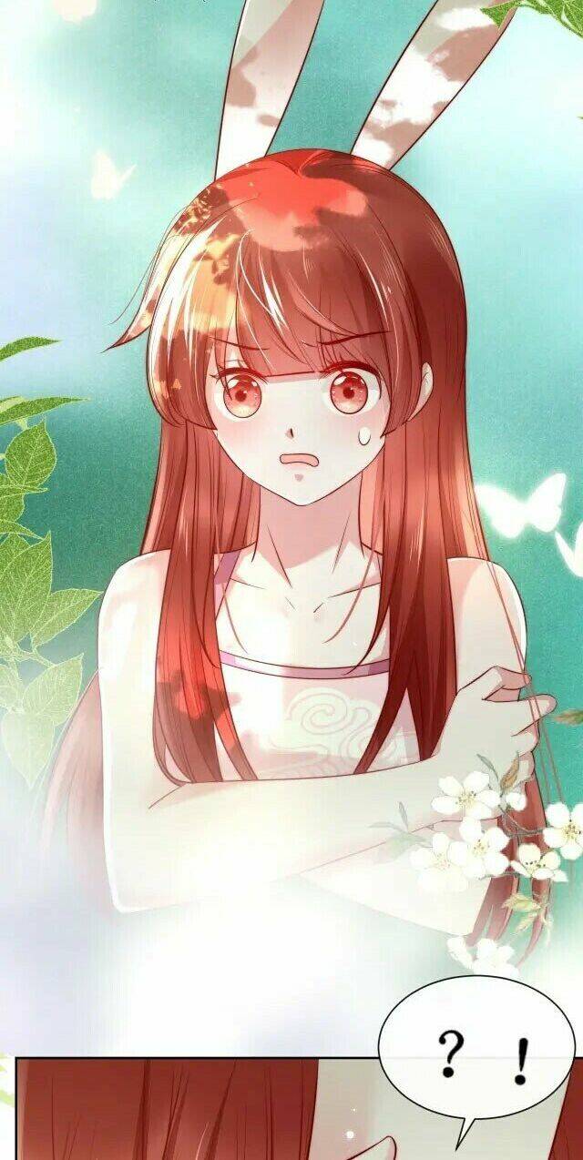 hắc hóa nam chính trực tuyến nuôi thỏ chapter 25 6