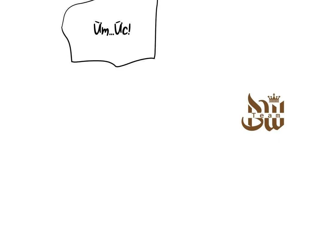 guide cấp b chapter 38 152