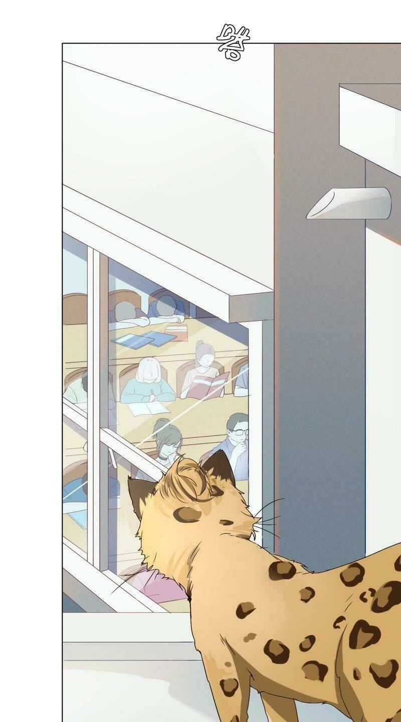 thập nhị hắc miêu chapter 1 2