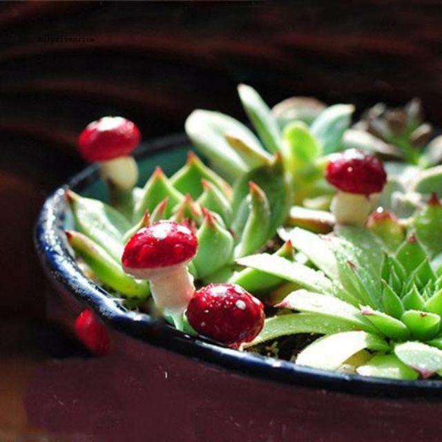 20 mô hình cây nấm trang trí tiểu cảnh.