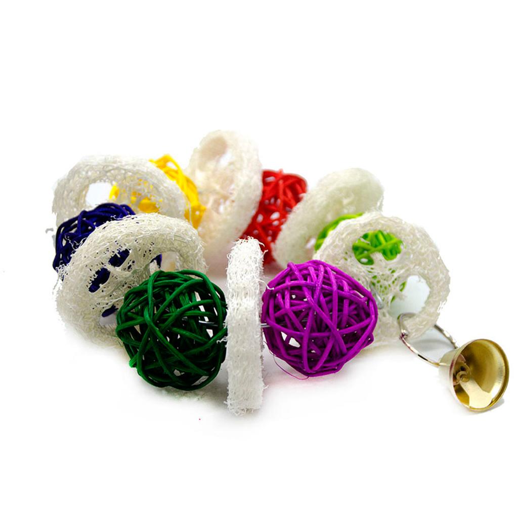 Bird Toy Conure Foraging Hanging Toy for Small Medium Parrots  Type 1