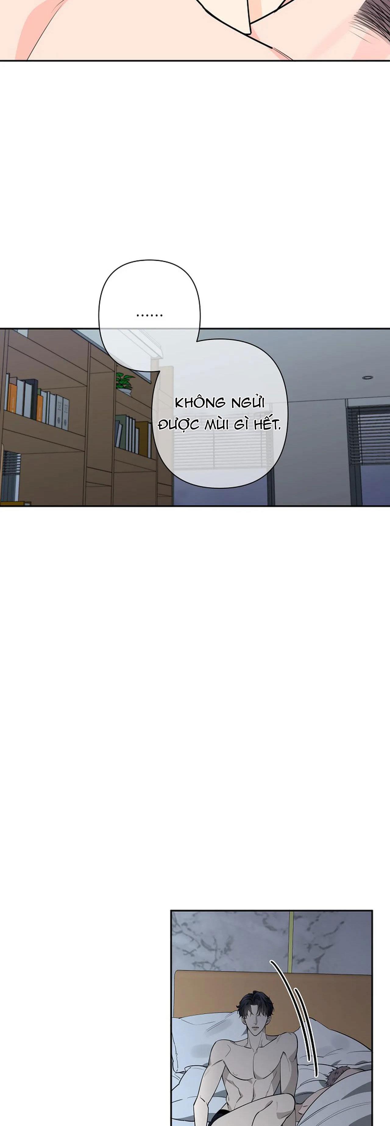 đêm dịu dàng chapter 32 12