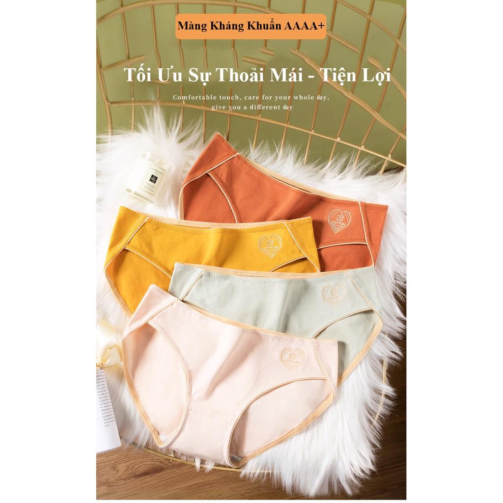 Quần Lót Sợi Bông Cotton Màng Kháng Khuẩn Cao Cấp - CC01