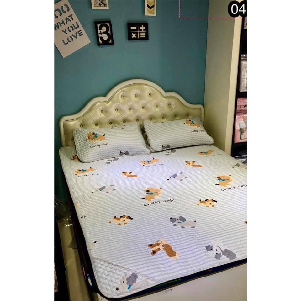 Chiếu điều hòa dành cho mua hè M6, M8, 2M2