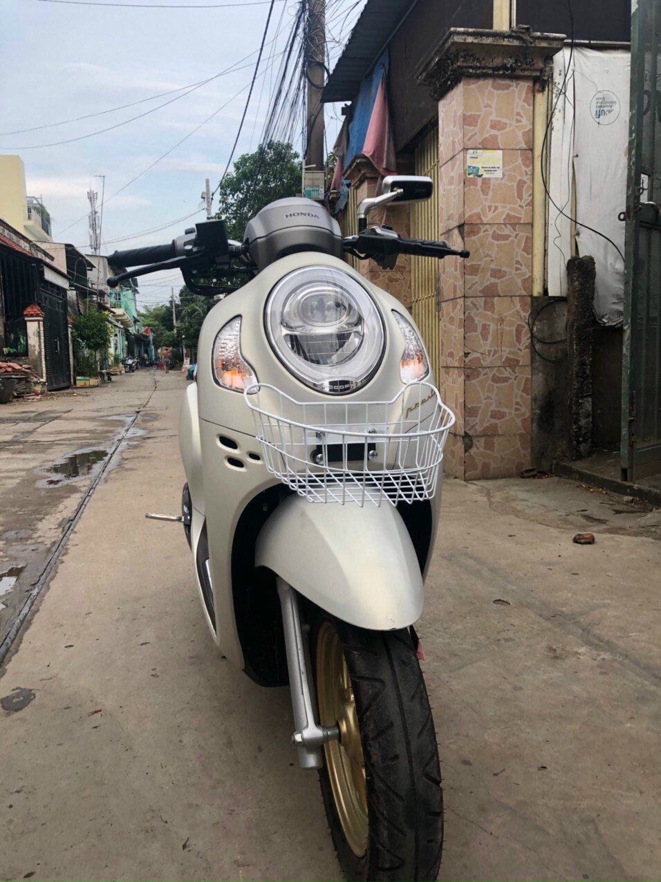 Rổ lưới thái gắn cho xe Scoopy (trắng, đen