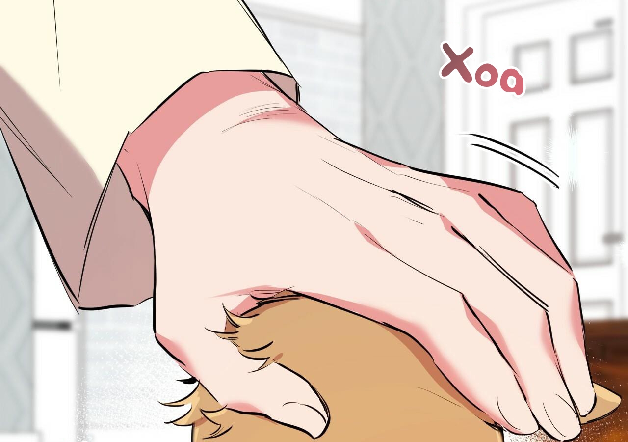 đàn thỏ của habibi chapter 20 216