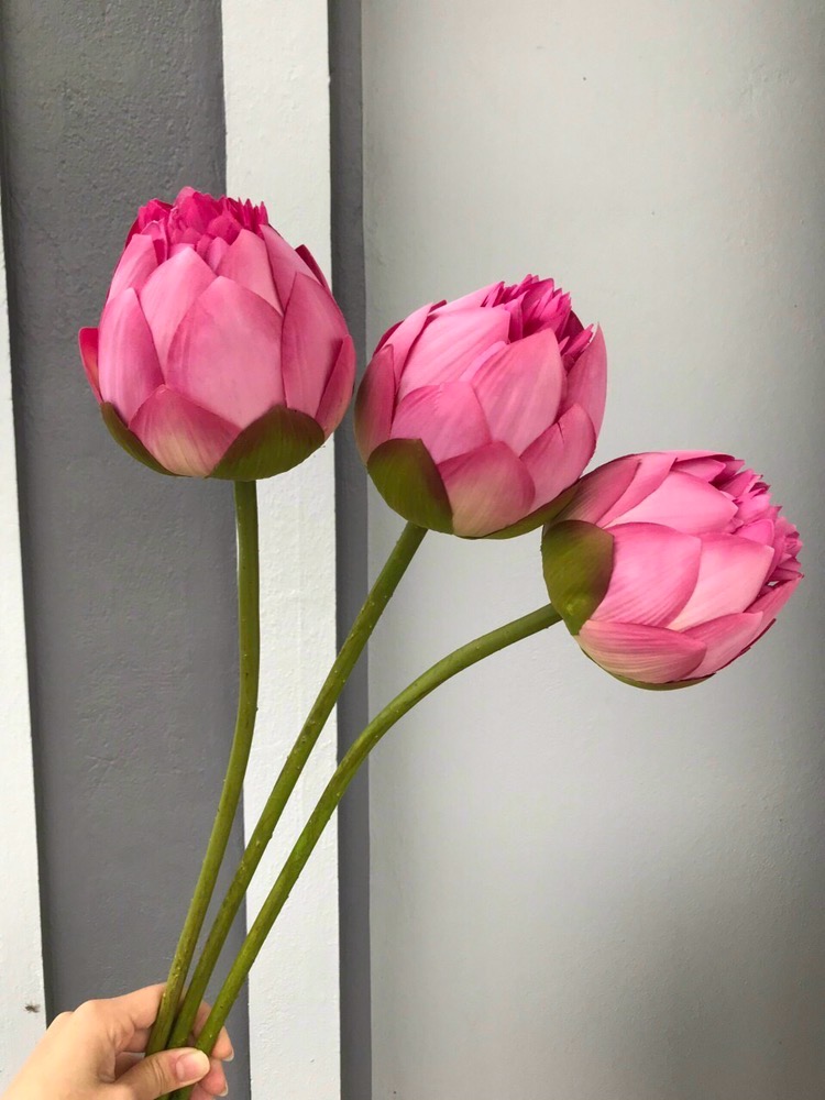 Set 11 bông hoa sen hoa lụa hoa sen giả