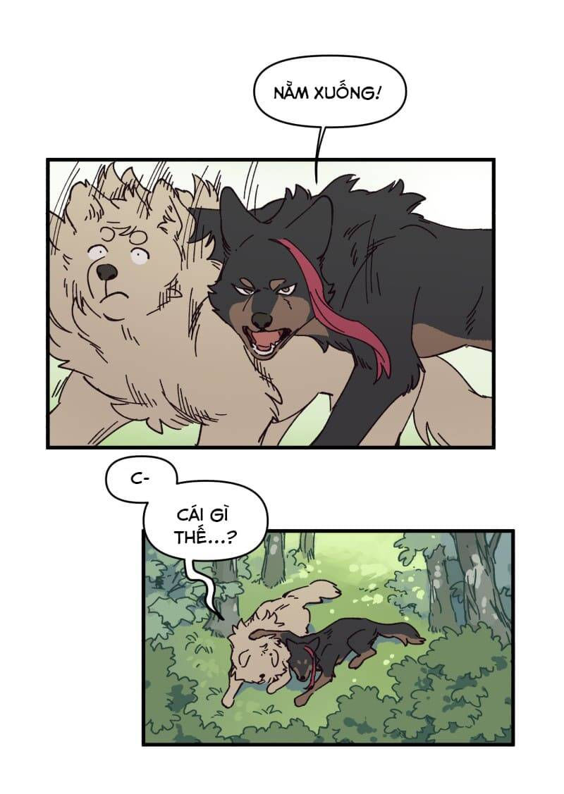 lumine - cội nguồn ánh sáng chapter 142 14