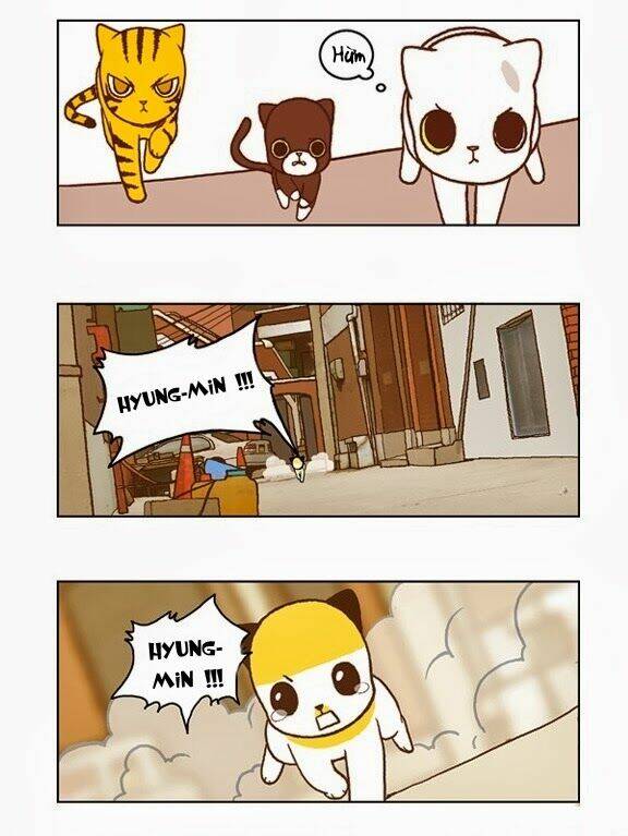 papi nyang chapter 17 5