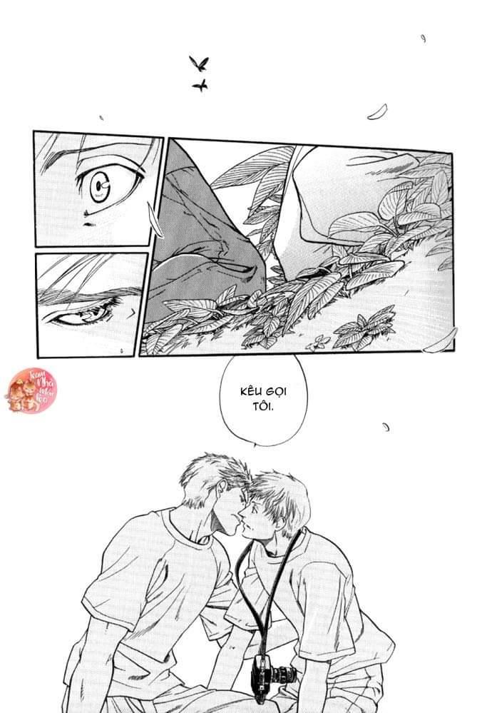 oneshot bl từ nhiều tác giả - mlèo dịch chapter 122 18