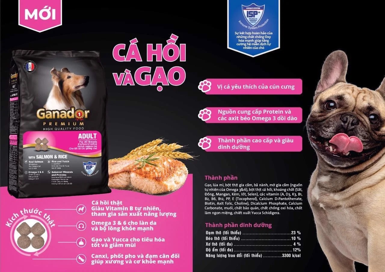 Combo 5 Gói Thức Ăn Hạt Cho Chó Lớn Ganador Adult Salmon & Rice Vị Cá Hồi Và Gạo 400g - YonaPetshop