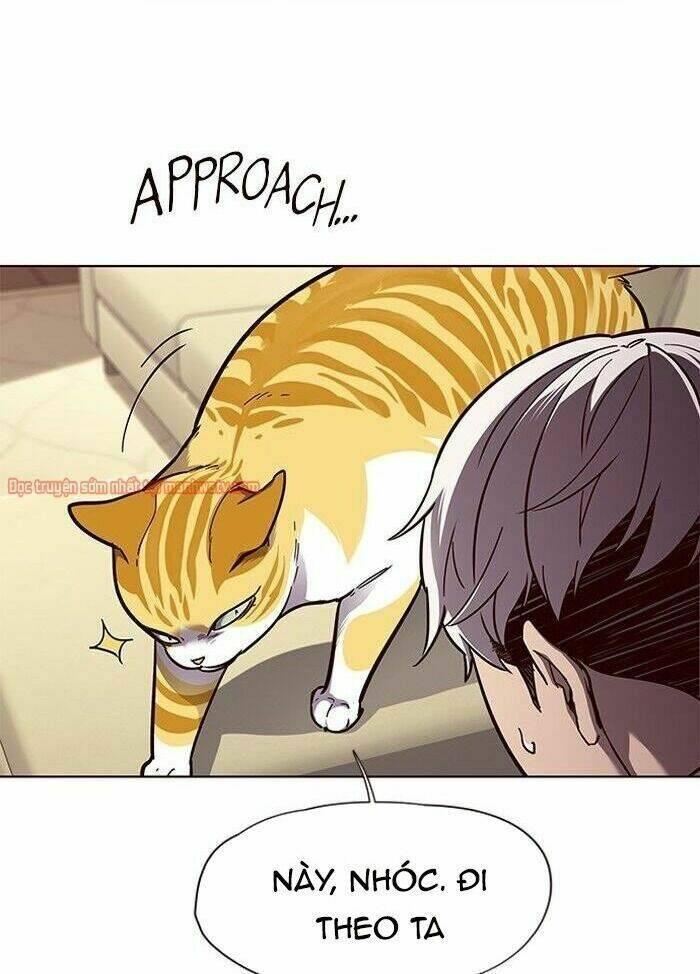 biến thân thành mèo chapter 50 18