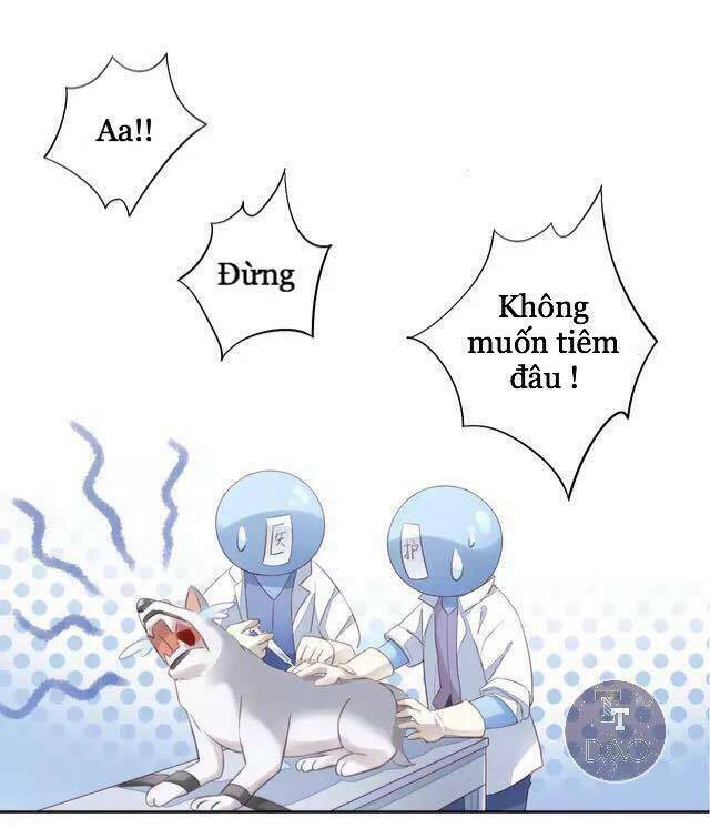 thị hoang chi thần chapter 15 48