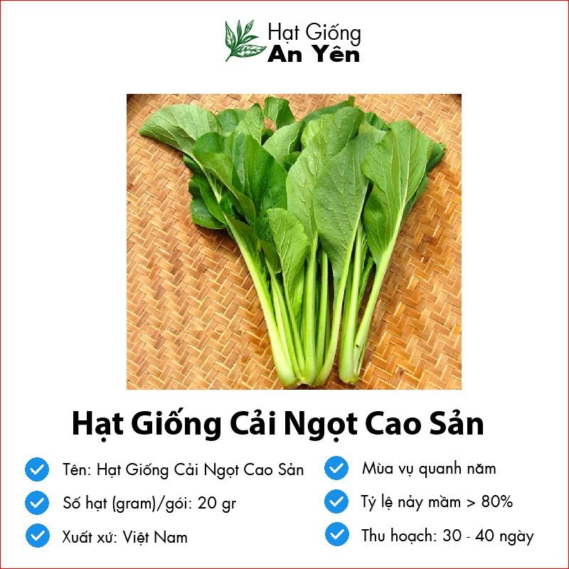 Hạt giống Cải Ngọt cao sản, nhanh thu hoạch, dễ trồng, nảy mầm và năng suất cao