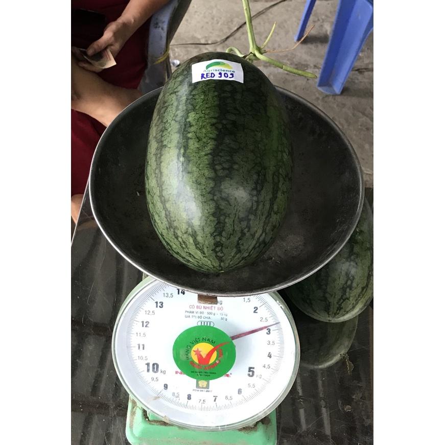 Hạt Giống Dưa Hấu Hắc Mỹ Nhân - Agri RED 909 -