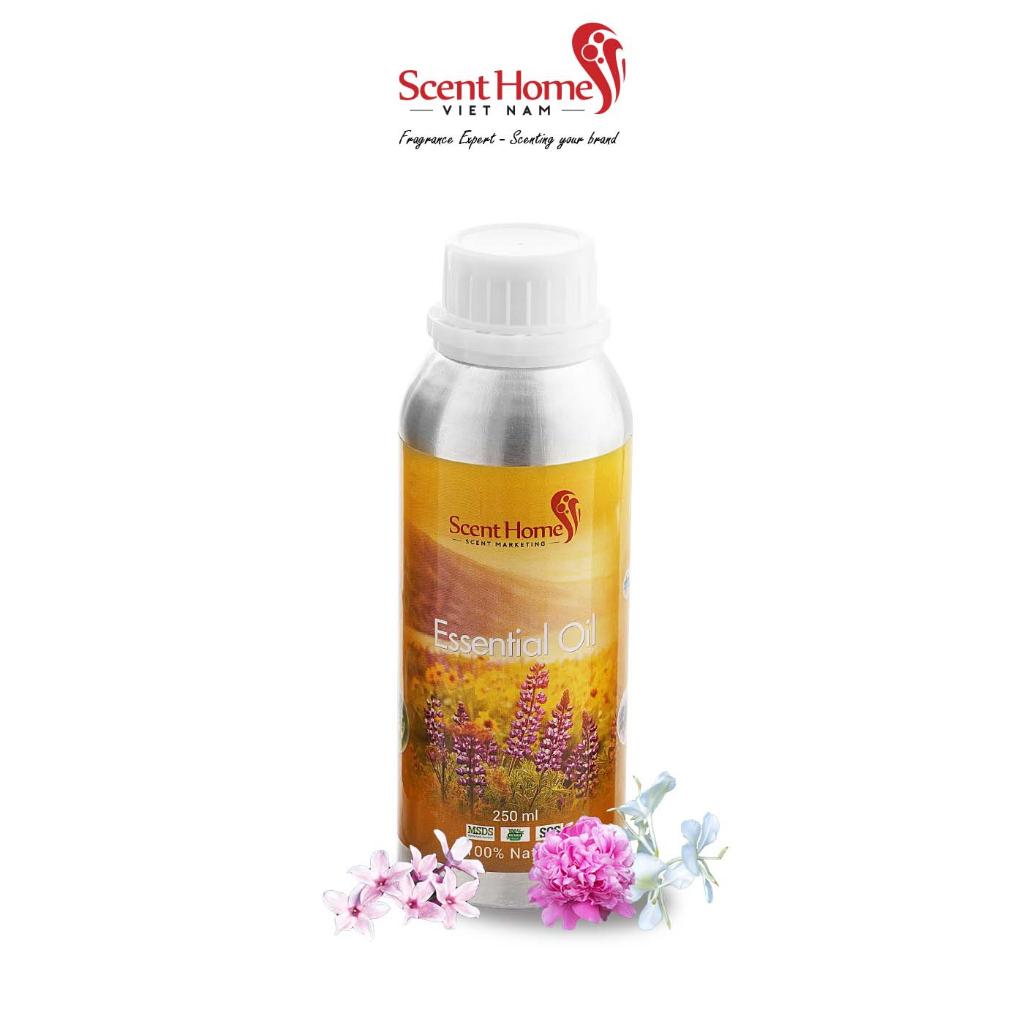 Tinh dầu Scent Homes - mùi hương