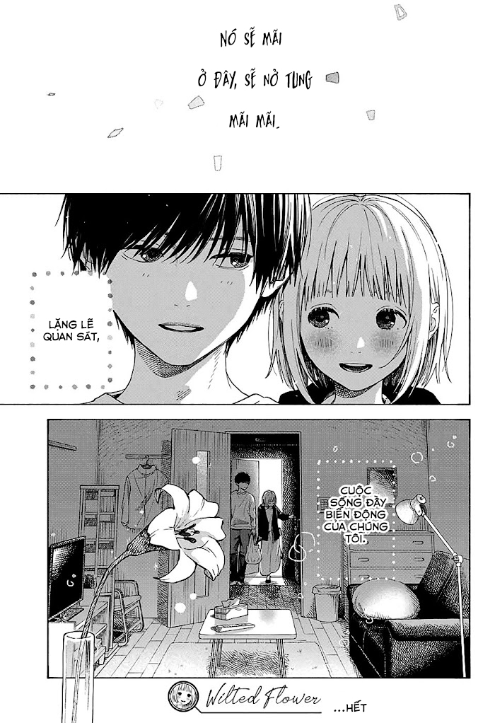 [oneshot] cánh hoa tàn chapter 1 52
