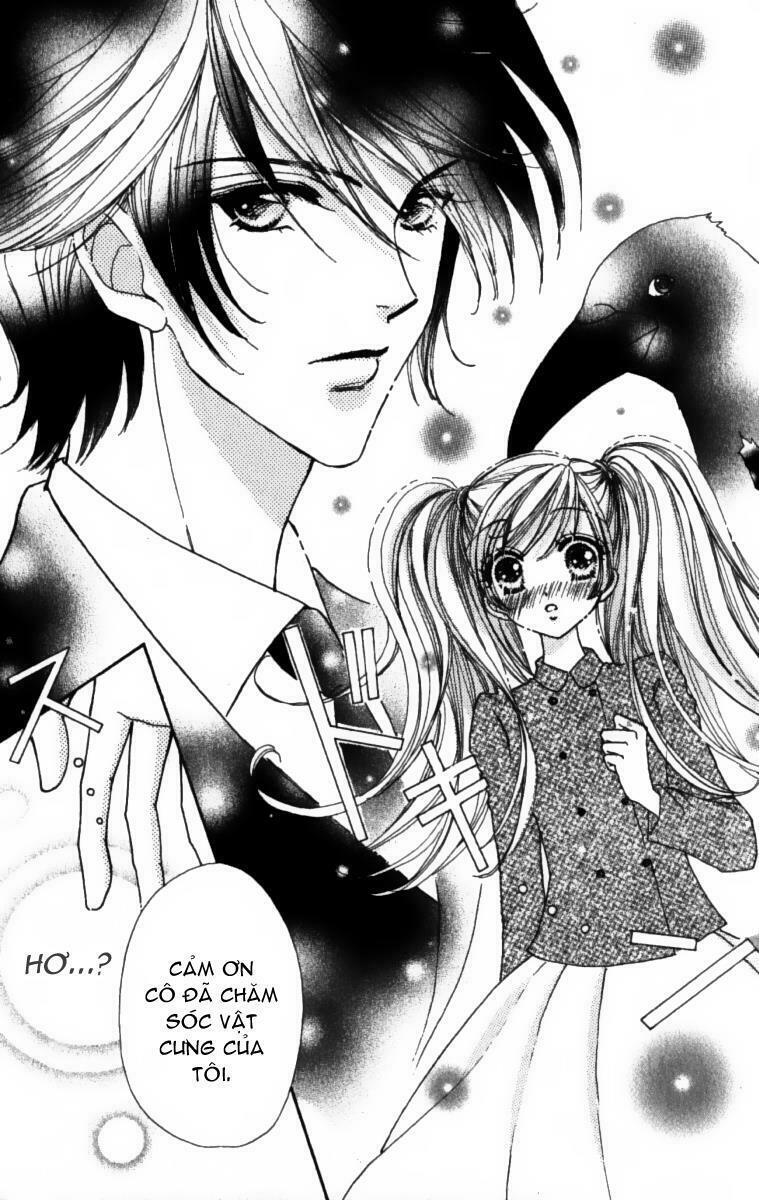 quái vật đáng yêu chapter 1 15