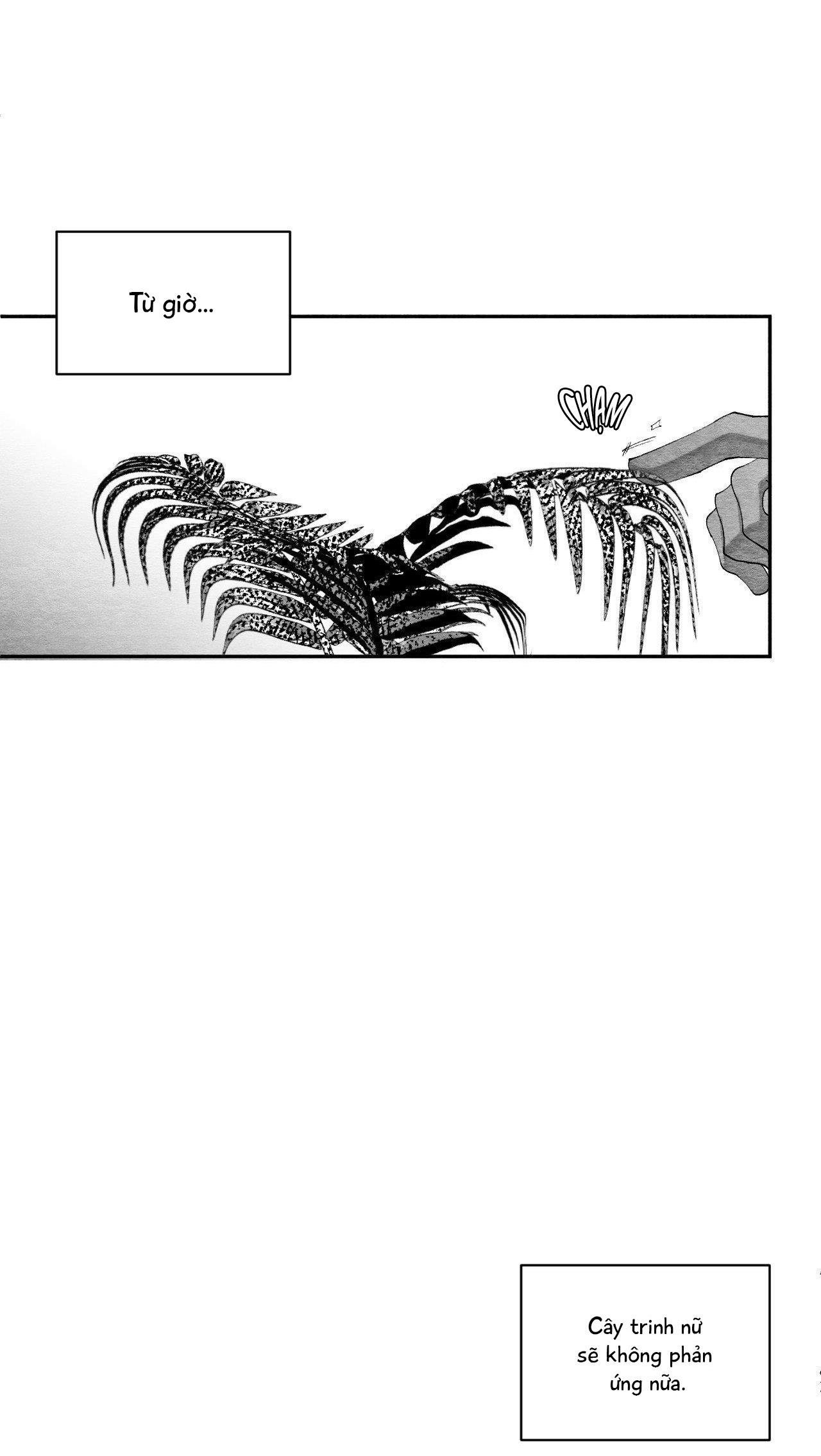 vóc dáng toàn mỹ chapter 25 42