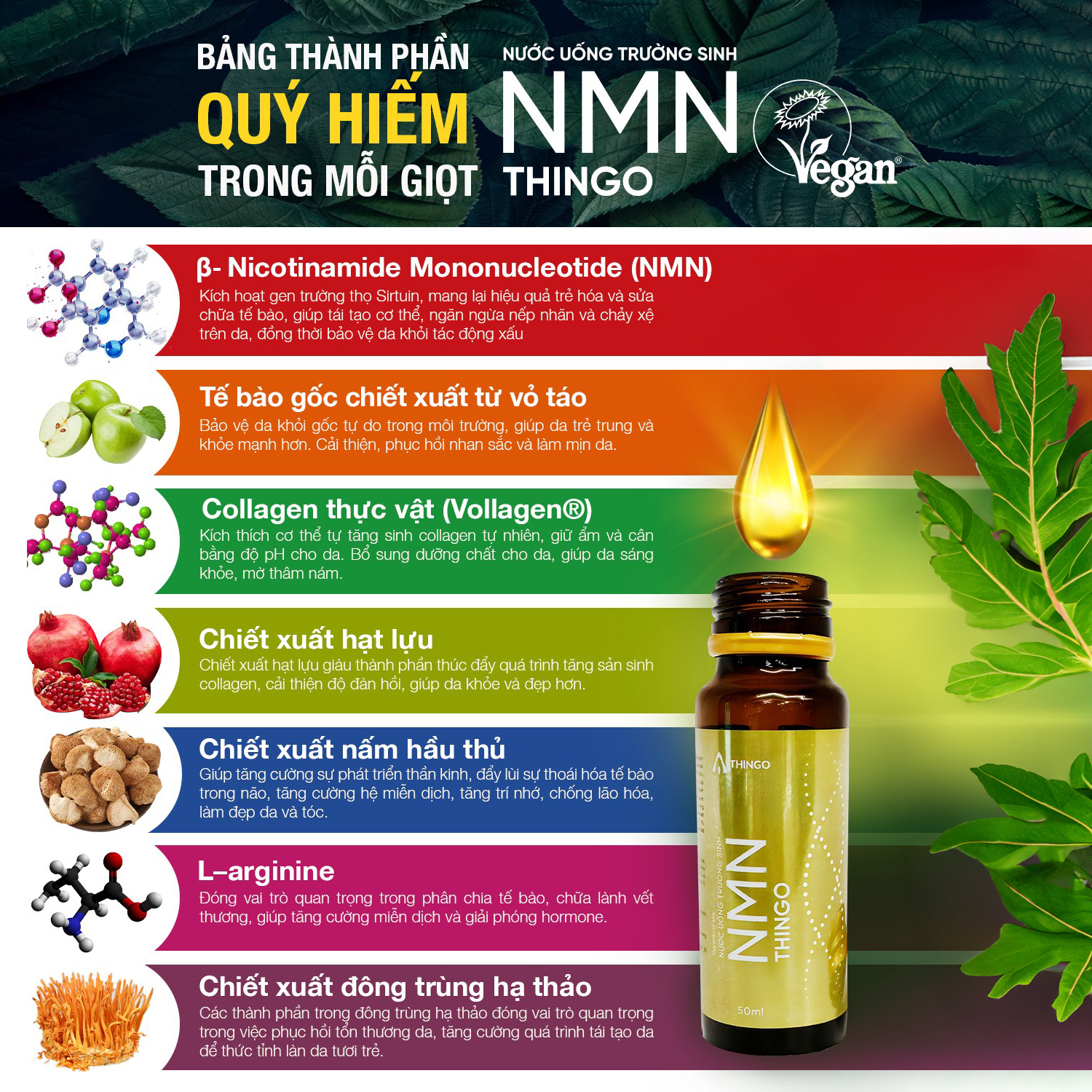 Nước Uống NMN Thingo - Nâng Cao Sức Khỏe Và Hệ Miễn Dịch