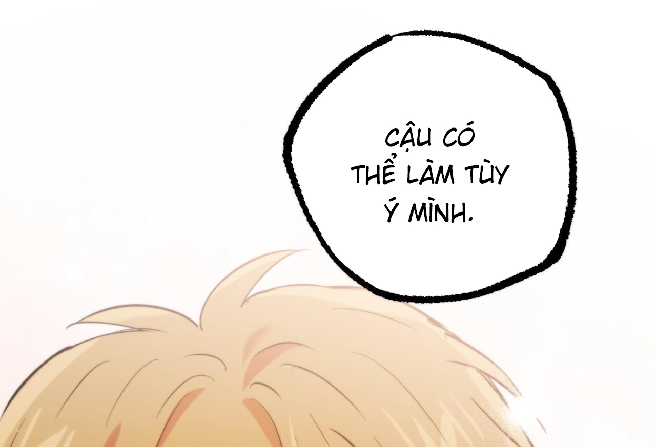 những chú thỏ của hapypy chapter 57 150