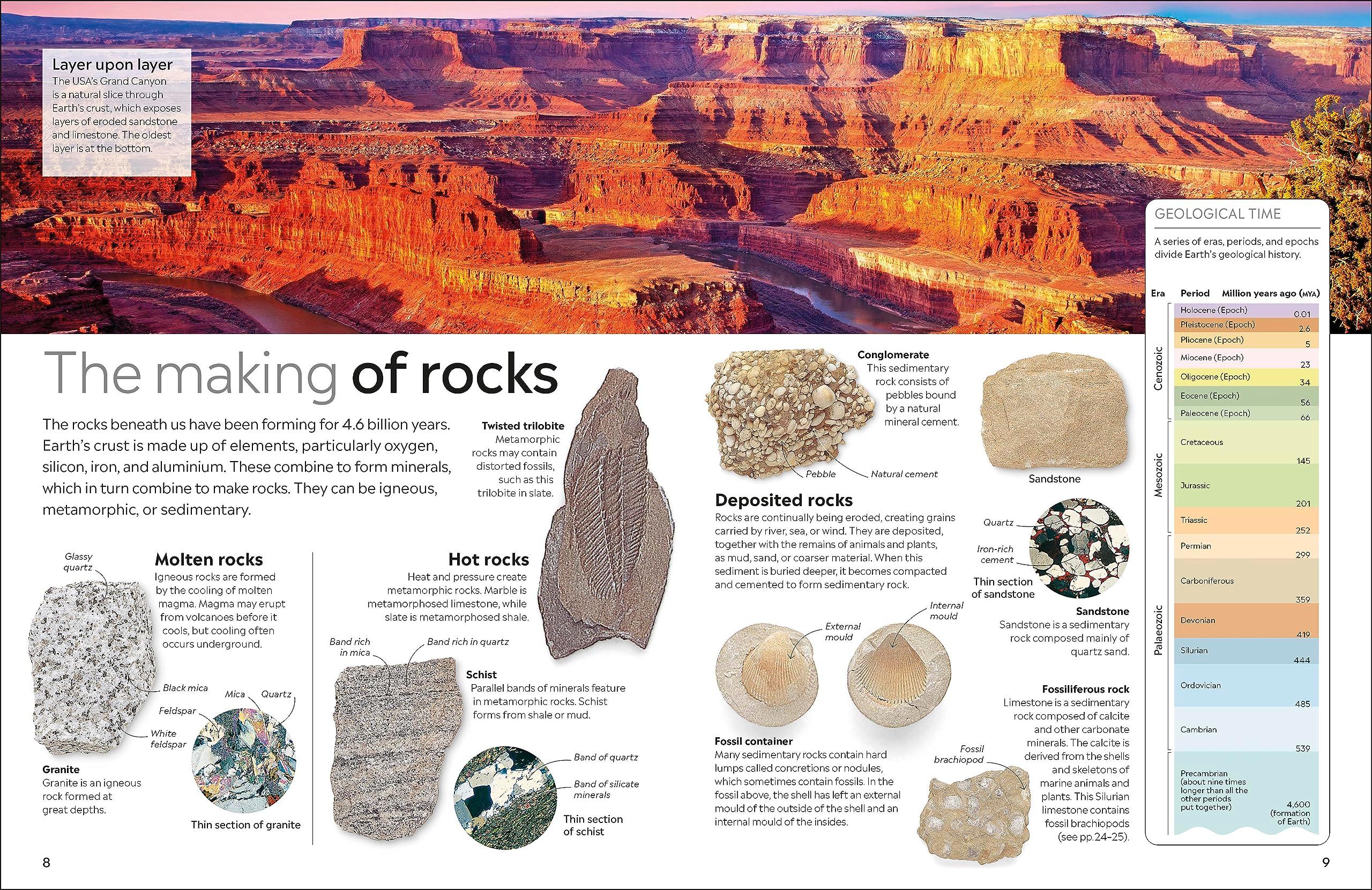 Sách ngoại văn: Eyewitness - Fossil