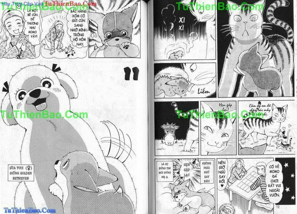 chó con mo mo chapter 5 37