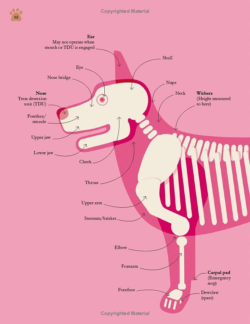 How Dogs Work: A Head-to-Tail Guide To Your Canine (How Things Work)