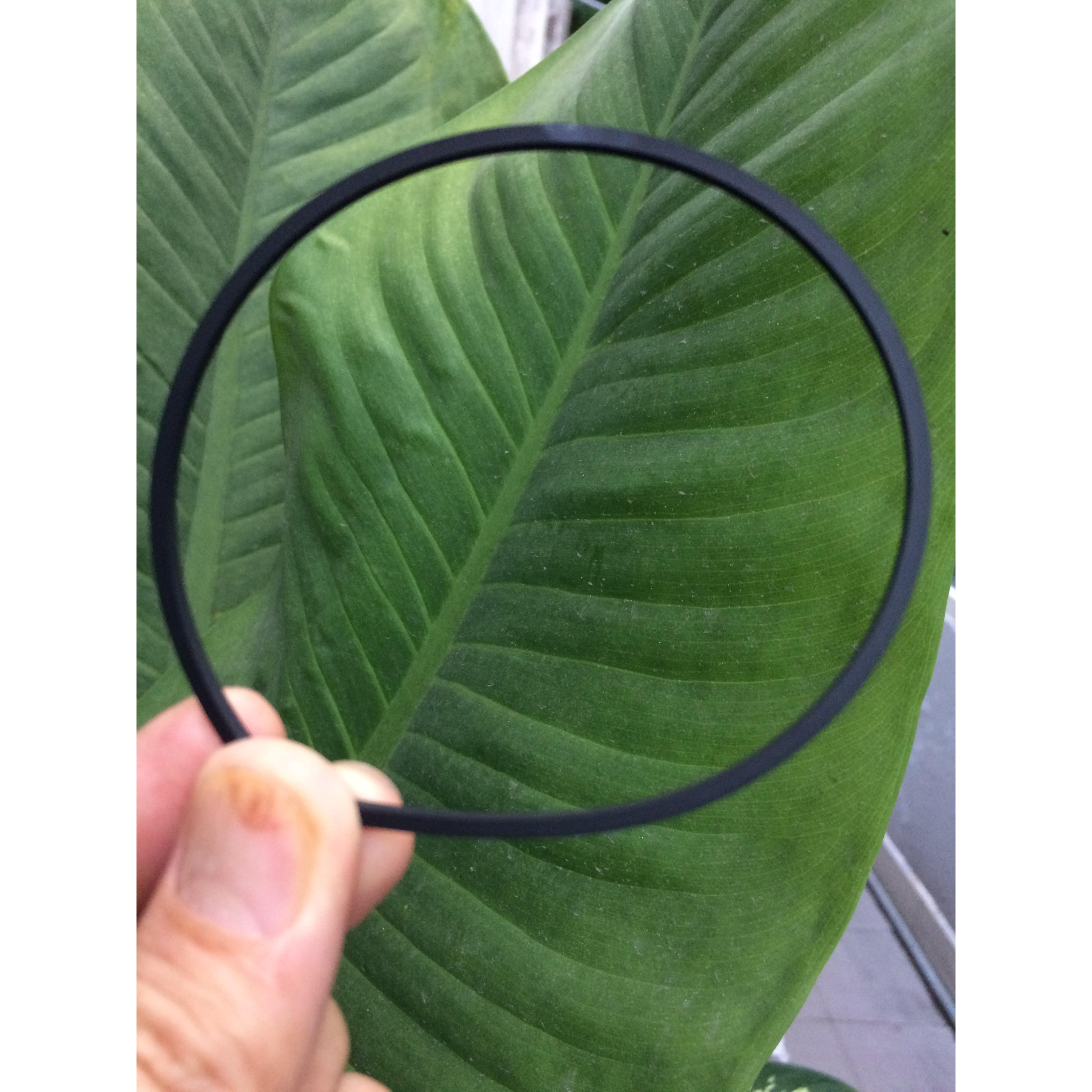 Dây curoa nôi điện Long Hưng