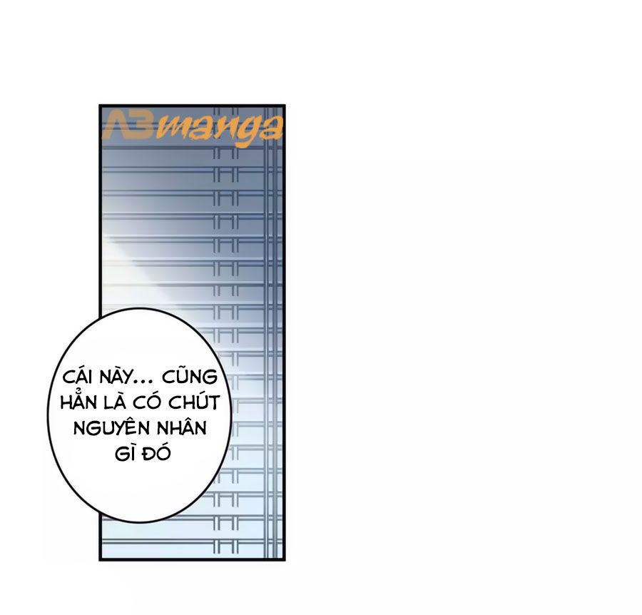 Cuốn Sách Vận Mệnh Của Tôi chapter 59 - Trang 24