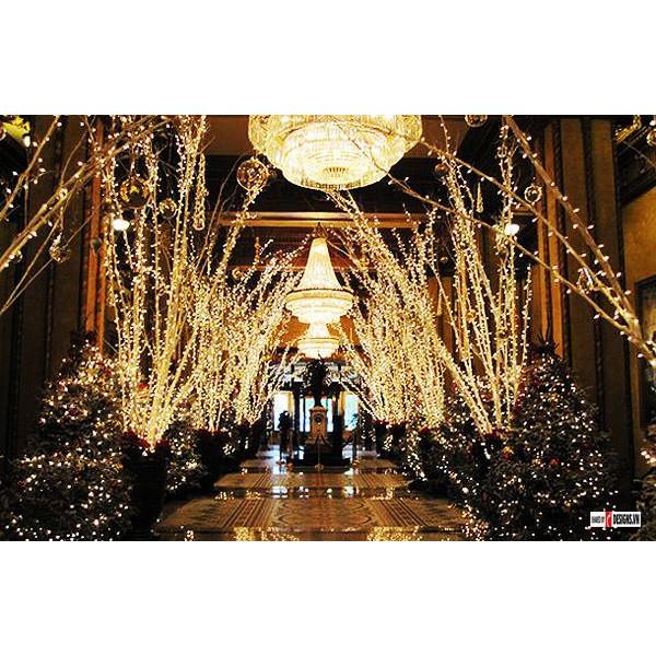 Dây led không chớp dây led trang tri noel day led trang tri tet