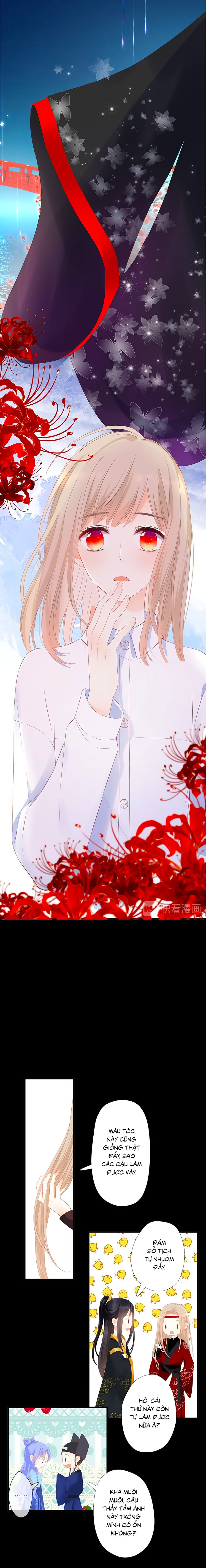 đóa hoa chớm nở chapter 44 8