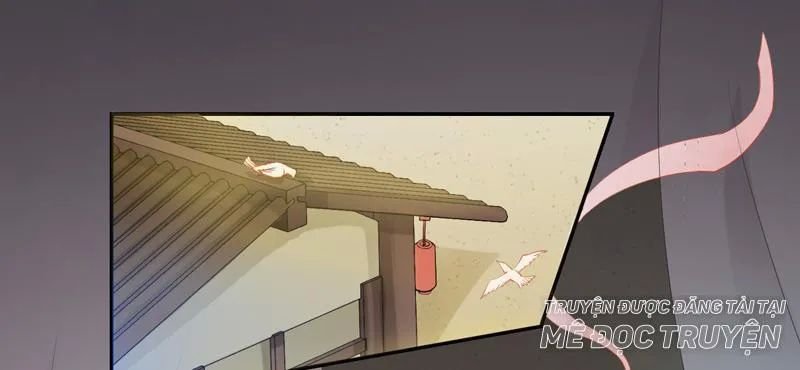 tuyệt thế luyện đan sư chapter 9 51