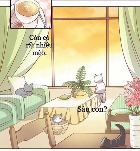 dưới móng vuốt mèo chapter 8 22