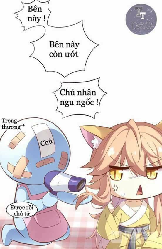 dưới móng vuốt mèo chapter 1 33