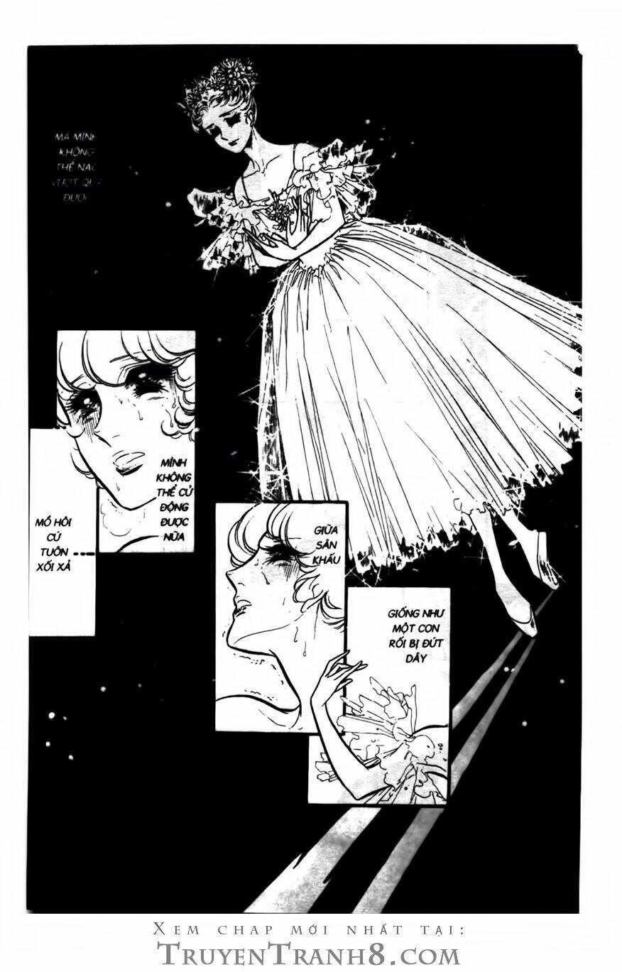 swan - vũ khúc thiên nga chapter 109 14