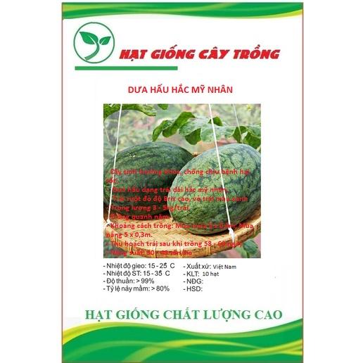 Hạt giống Dưa hấu Hắc Mỹ Nhân CT84 - Gói 10 hạt
