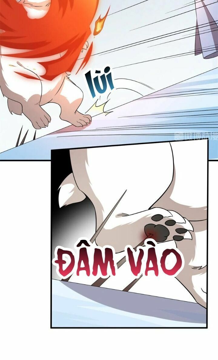 độc bộ thiên hạ: đặc công thần y chapter 254 13