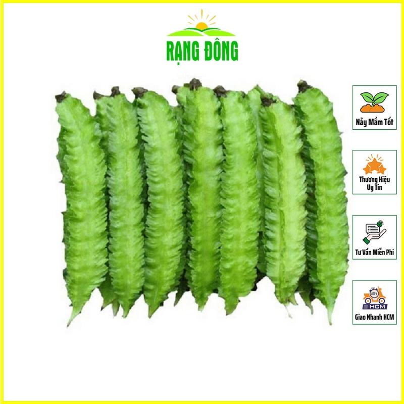 Hạt giống Đậu Rồng Cao Sản Sinh Trưởng Khỏe, Trồng Quanh Năm, Ra Trái Liên Tục - Hạt Giống Rạng Đông
