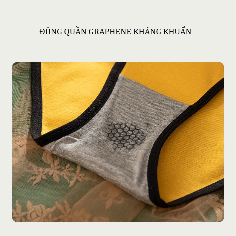 Quần Lót Nữ Cotton Mịn Kháng Khuẩn Phong Cách Nhật Bản P470