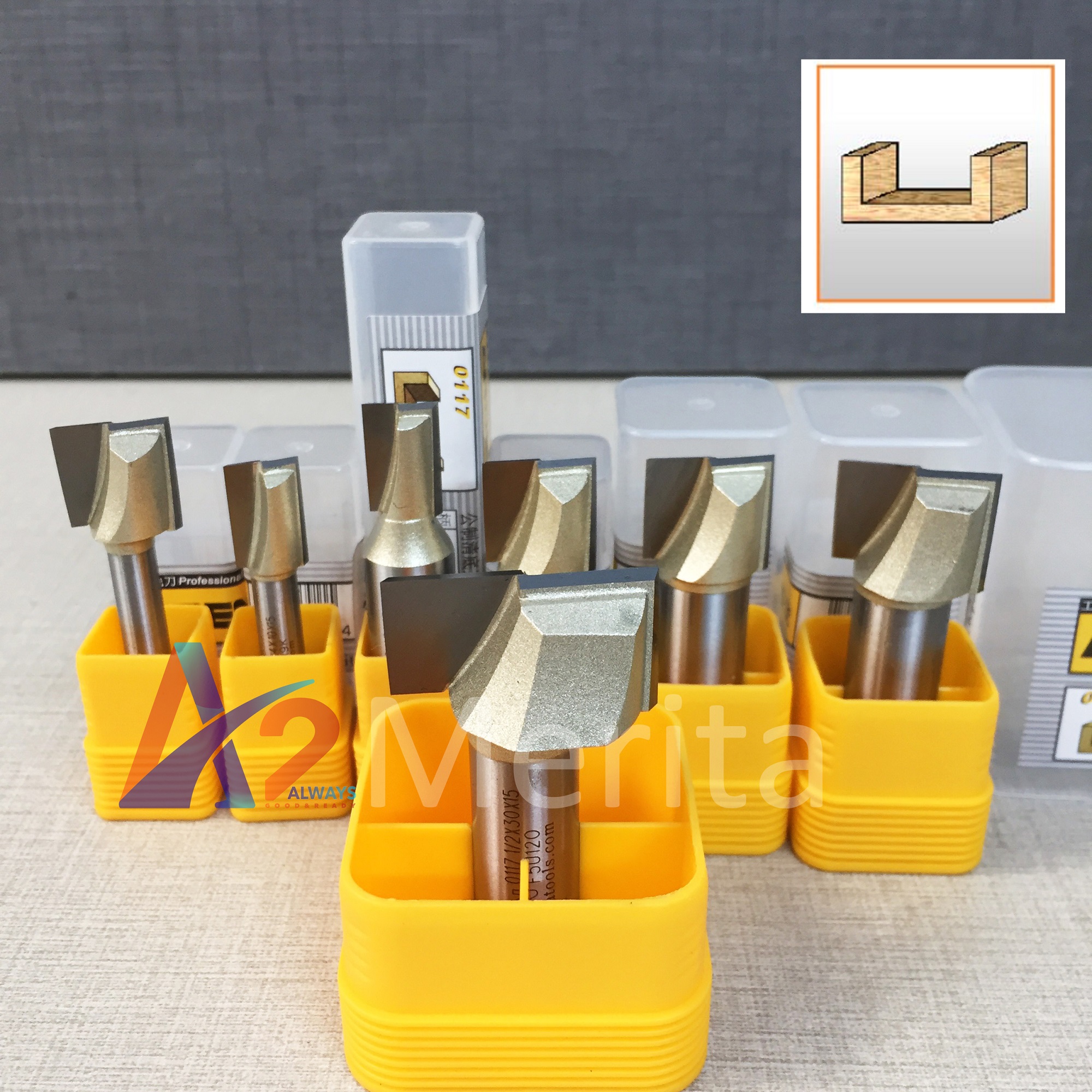 Mũi phay gỗ thẳng lấy nền cốt 1/2" Arden