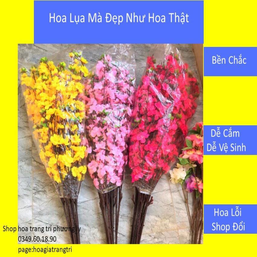Hoa trang trícành đào-cành mai vàng
