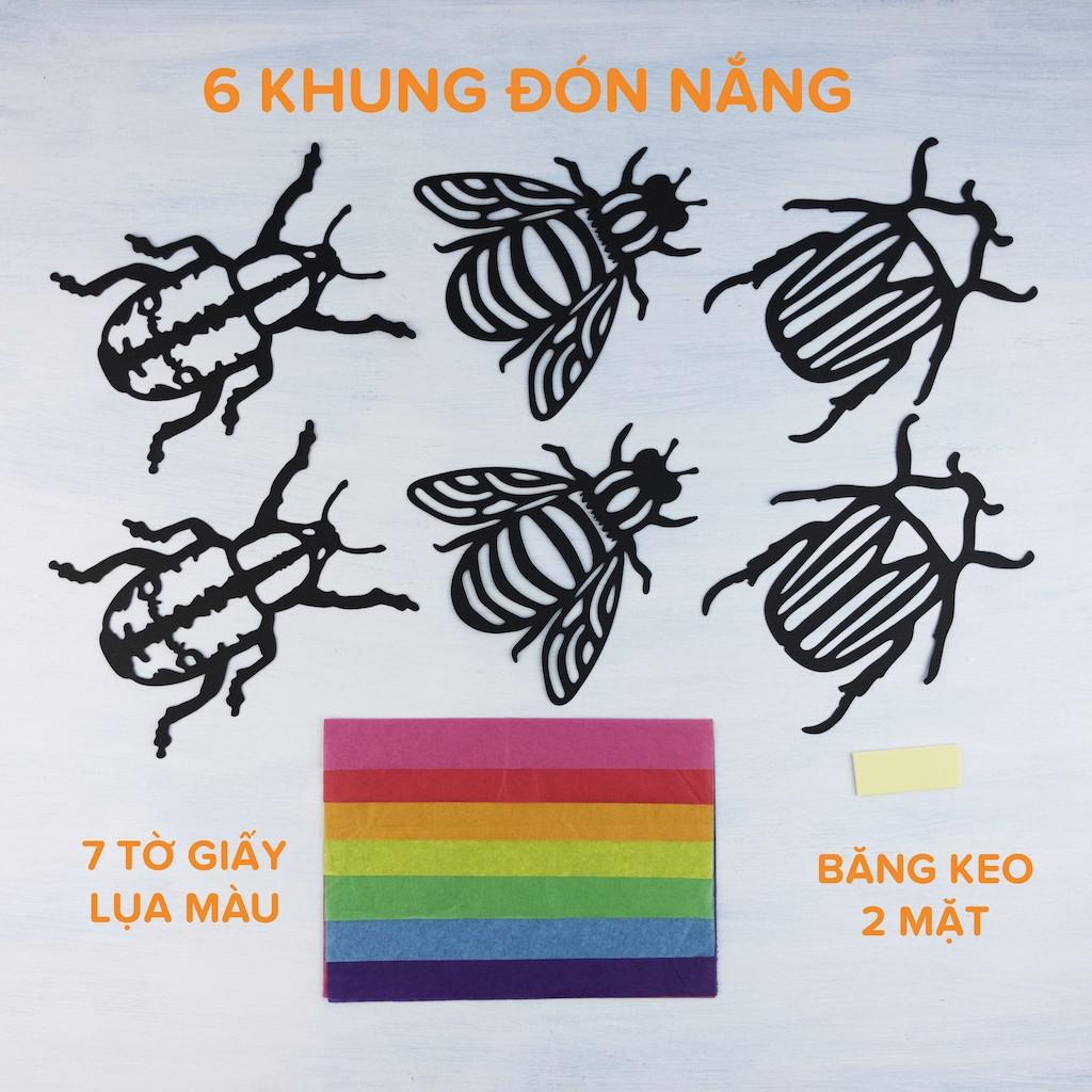 Bộ Thủ Công 6 Bọ Cánh Cứng Đón Nắng