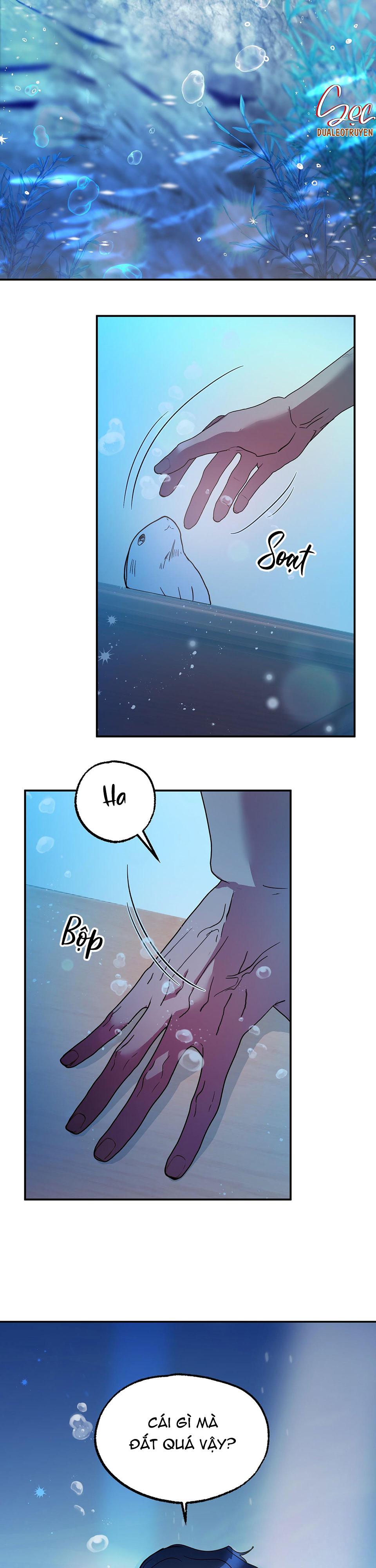 cá mập và cô dâu thỏ chapter 1 8