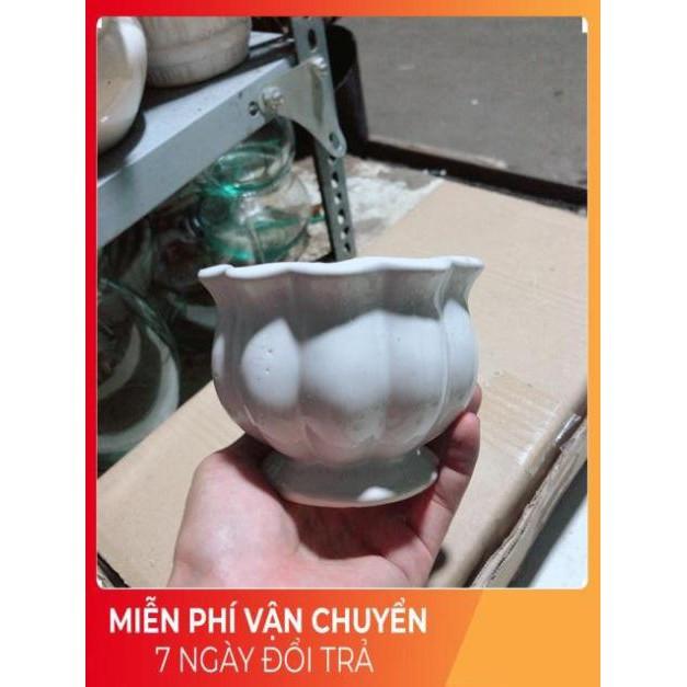 Chậu Trồng Cây